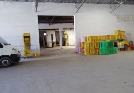 AV UNITE CALIBRAGE FRUITS 3422 M2 NABEUL