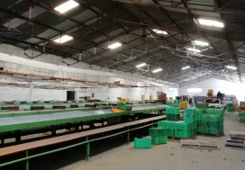 AV UNITE CALIBRAGE FRUITS 3422 M2 NABEUL
