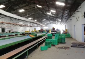 AV UNITE CALIBRAGE FRUITS 3422 M2 NABEUL