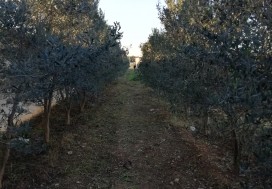 A VENDRE DEPOT 900/9000 M2 TUNIS NORD