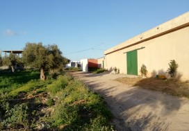 A VENDRE DEPOT 900/9000 M2 TUNIS NORD