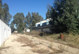 A LOUER LOCAL BIZERTE SUD 12 000 M2