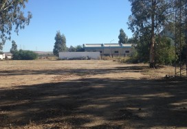 A LOUER LOCAL BIZERTE SUD 12 000 M2