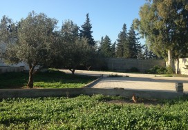 A VENDRE VILLA / 23535 M2 RTE BIZERTE