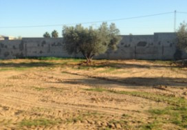 A VENDRE VILLA / 23535 M2 RTE BIZERTE