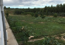 A VENDRE LOCAL 660/3000 M2 TUN OUEST