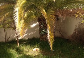 A LOUER DEUX VILLAS ENNASR