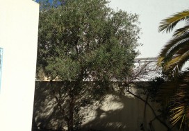 A LOUER DEUX VILLAS ENNASR