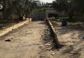 A V LOCAL COMMERC 500/1000 M2 TU OUEST