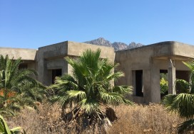 A VENDRE FERME 4 HA AVEC DEPOTS TUN SUD