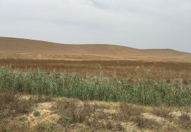 A VENDRE TERRAIN 10000 M2 RTE DE BIZERTE