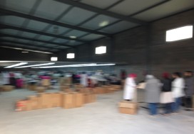 A LOUER LOCAL AV FISC BEJA NORD 5000 M