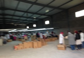 A LOUER LOCAL AV FISC BEJA NORD 5000 M
