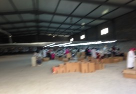 AV LOCAL 5000/10000 M2 EXT BEJA SUD