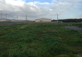 A LOUER LOCAL AV FISC BEJA NORD 5000 M