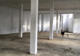 A LOUER LOCAL DALLE 700 M2 TUNIS SUD