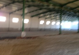 A LOUER LOCAL 4600 M2 CHARP TUNIS OUEST
