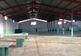 A LOUER DEPOT 1500 M2 CHARP TUNIS OUEST