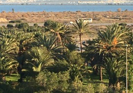 A L IMM 85 BUR 2928 M2 SSR5 TUNIS MP