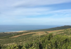 AV TERRAIN TOURIST 33000 M2 NORD TUNISIE