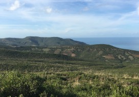 AV TERRAIN TOURIST 33000 M2 NORD TUNISIE