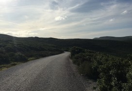 AV TERRAIN TOURIST 33000 M2 NORD TUNISIE