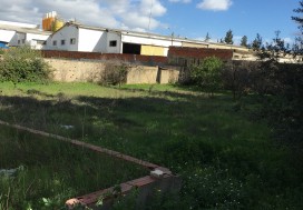 A VENDRE LOCAL 332/2500 M2 TU OUEST