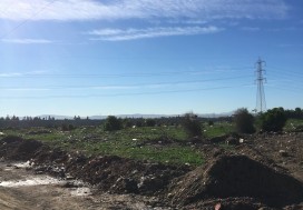 A VENDRE TER INDUSTR 16000 M2 TUN SUD