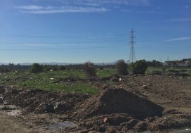 A VENDRE TER INDUSTR 16000 M2 TUN SUD