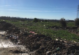 A VENDRE TER INDUSTR 16000 M2 TUN SUD