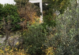 AV VILLA ET DUPEX MUTU VIL 400/934 M2