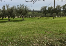 VENTE LOCAL 3000 M2 TUNIS NORD