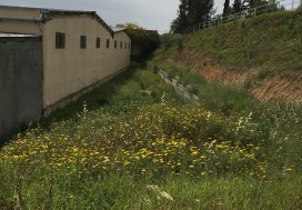 VENTE LOCAL 3000 M2 TUNIS NORD