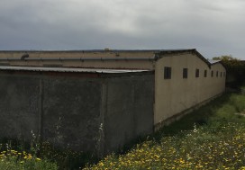 VENTE LOCAL 3000 M2 TUNIS NORD