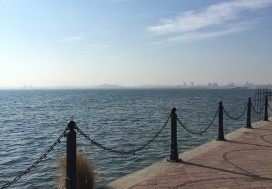 A VEDRE TERRAIN 8584 M2   BERGES DU LAC