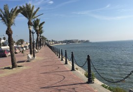 A VEDRE TERRAIN 8584 M2   BERGES DU LAC