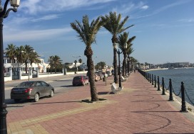 A VEDRE TERRAIN 8584 M2   BERGES DU LAC