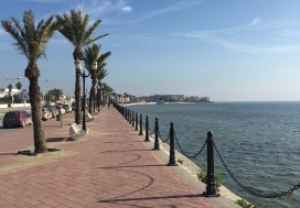 A VEDRE TERRAIN 8584 M2   BERGES DU LAC