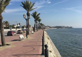 A VEDRE TERRAIN 8584 M2   BERGES DU LAC