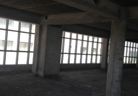 LOCAL HAUT STANDIG LAC 2169 M2