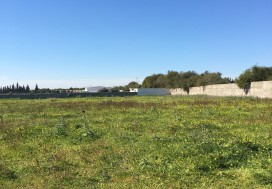 A VENDRE TERR AGRI 7 HA PRES MORNAG