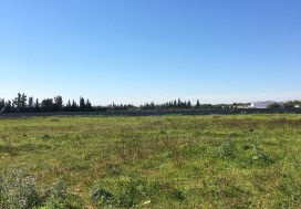 A VENDRE TERR AGRI 7 HA PRES MORNAG