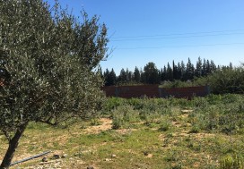 A VENDRE TERR AGRI 7 HA PRES MORNAG