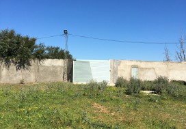 A VENDRE TERR AGRI 7 HA PRES MORNAG