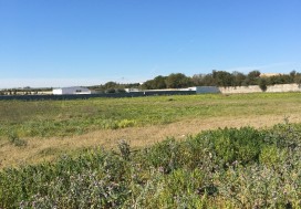 A VENDRE TERR AGRI 7 HA PRES MORNAG