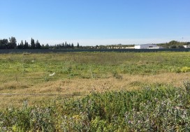 A VENDRE TERR AGRI 7 HA PRES MORNAG