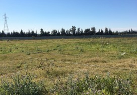 A VENDRE TERR AGRI 7 HA PRES MORNAG