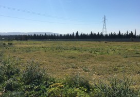 A VENDRE TERR AGRI 7 HA PRES MORNAG