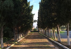 A VENDRE TERRAIN 3500 M2 TUN OUEST