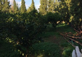 A VENDRE TERRAIN 3500 M2 TUN OUEST